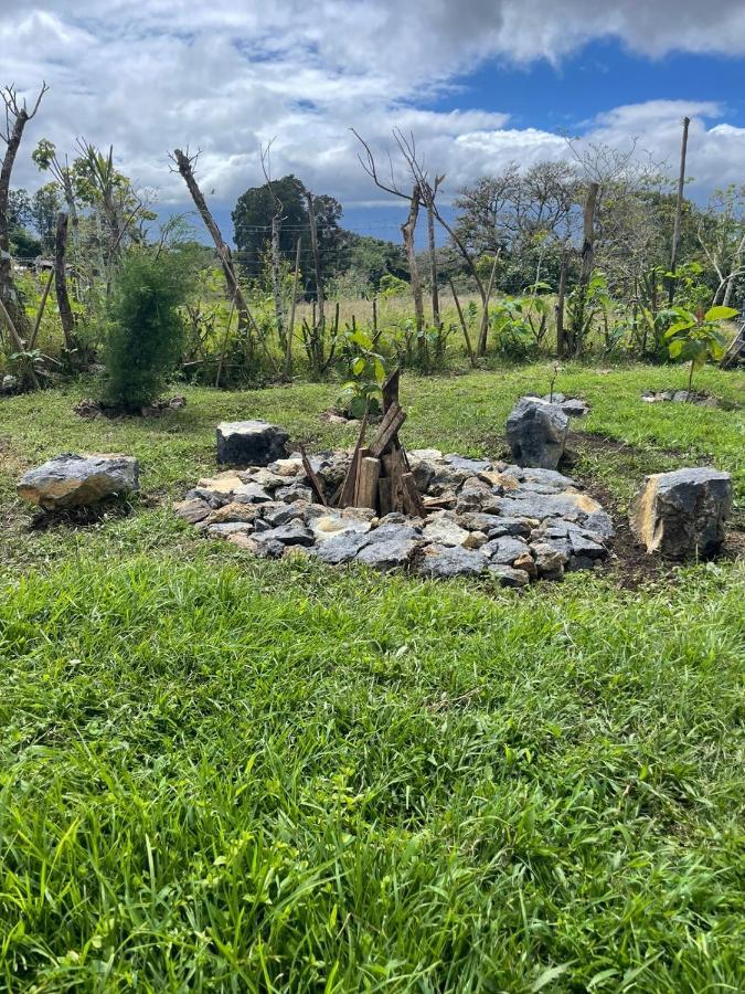 Glamping Campo Alegre Hotel Cartago Kültér fotó