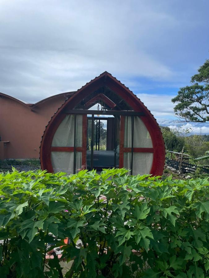 Glamping Campo Alegre Hotel Cartago Kültér fotó