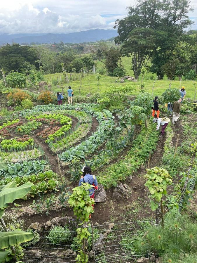 Glamping Campo Alegre Hotel Cartago Kültér fotó
